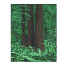 Load image into Gallery viewer, Redwoods #1 [8" X 10", Acrylic on Stretched Canvas]
