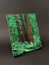 Load image into Gallery viewer, Redwoods #1 [8" X 10", Acrylic on Stretched Canvas]
